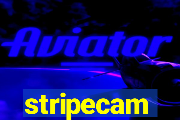 stripecam