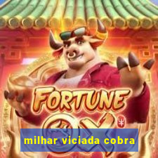 milhar viciada cobra