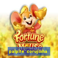 palpite corujinha de hoje