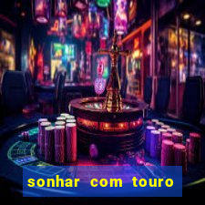 sonhar com touro bravo no mundo espiritual