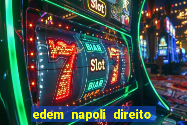 edem napoli direito constitucional pdf