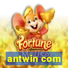 antwin com