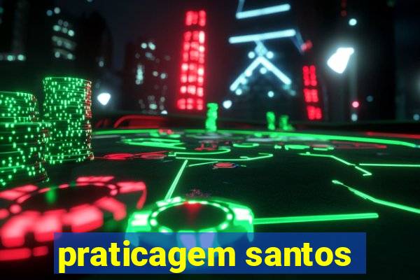 praticagem santos