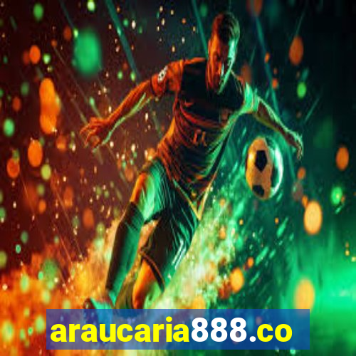 araucaria888.com