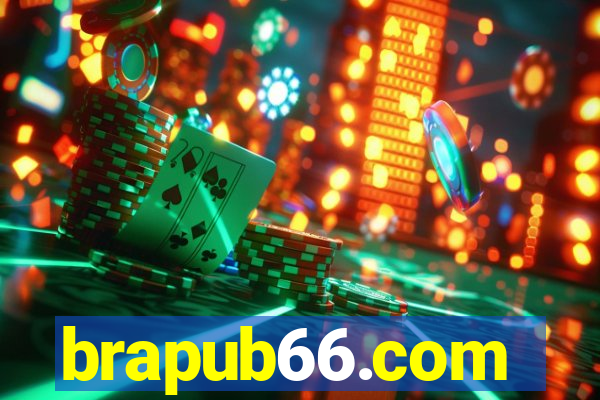 brapub66.com