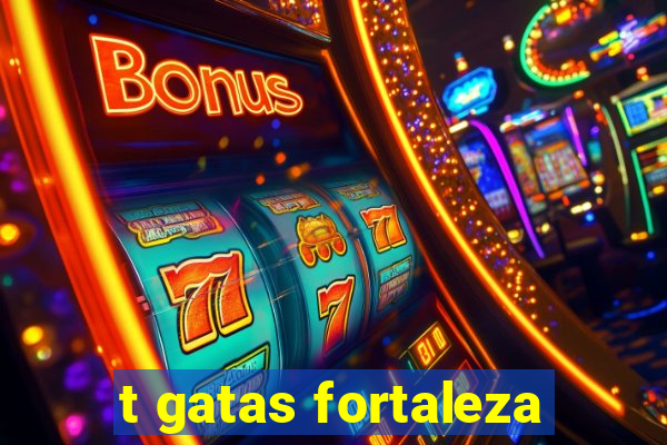 t gatas fortaleza