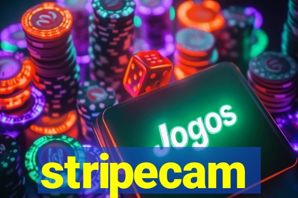 stripecam