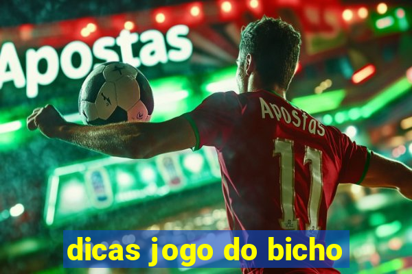 dicas jogo do bicho