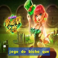 jogo do bicho que paga no pix