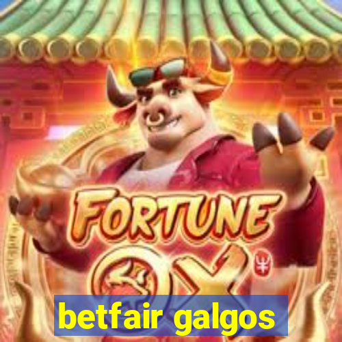 betfair galgos