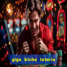 giga bicho loteria dos sonhos