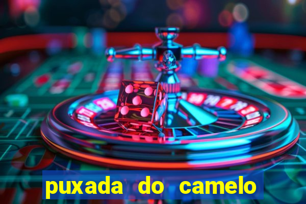 puxada do camelo jogo do bicho