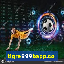 tigre999bapp.com